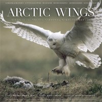 Arctic Wings Book Cover