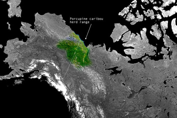 Interactive map Caribou