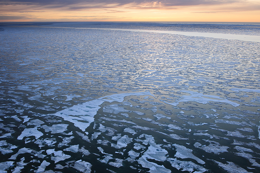 The Arctic Refuge Celebrates 60 Years
