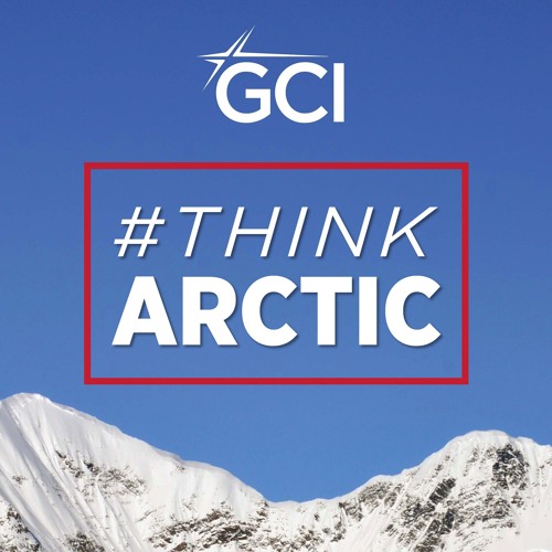 Think Arctic