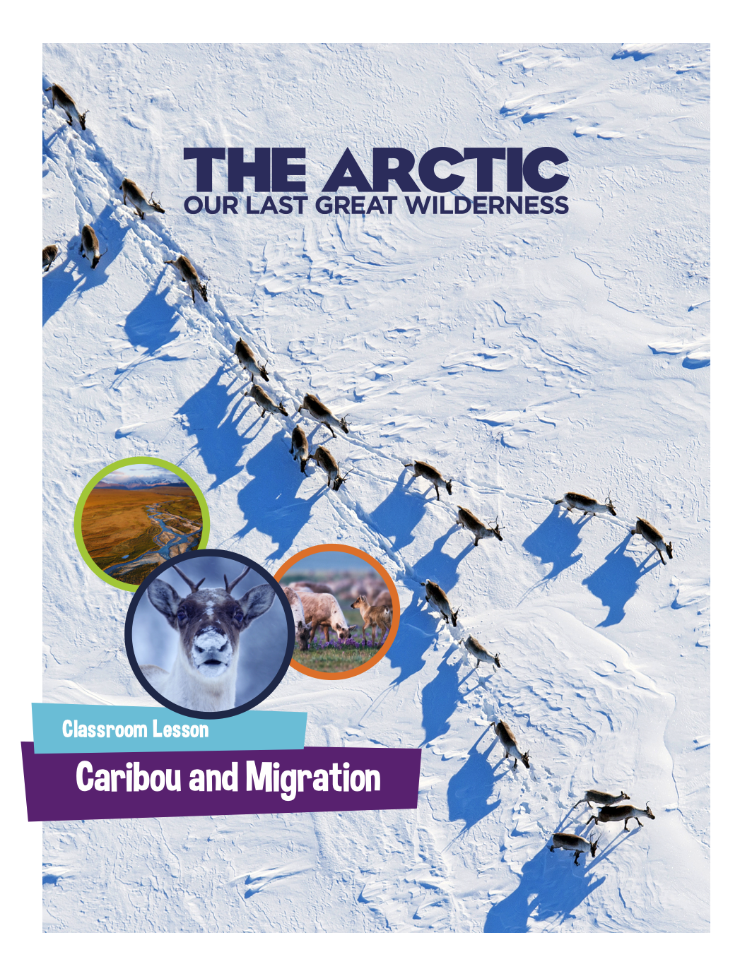 Curriculum Download
