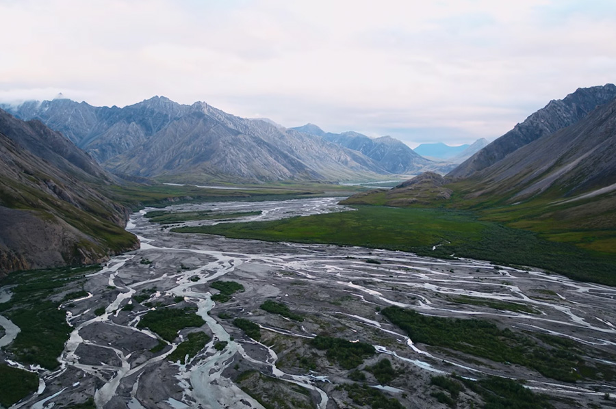 Stand Up for the Arctic National Wildlife Refuge 