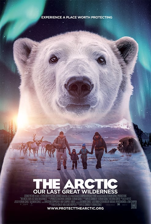 The Arctic Poster