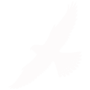 peregrineicon