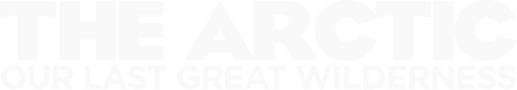 The Arctic - Our last great wilderness